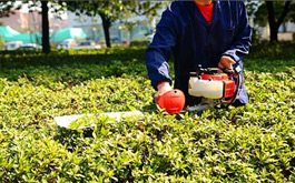 綠籬修剪機(jī)齒輪